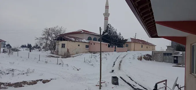 Anbarcık Mahallesi Şevki Çiftliği Camii fotoğrafı