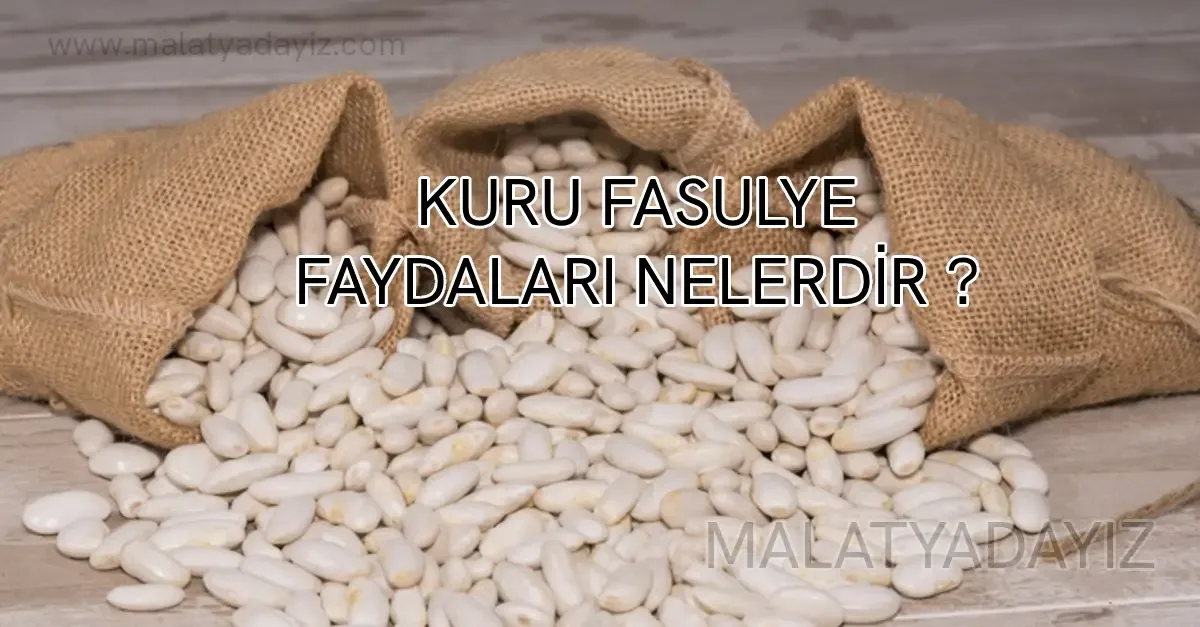 DOĞANŞEHİR FASULYESİNİN ÖZELLİKLERİ NELERDİR ? DOĞANŞEHİR NEREDE