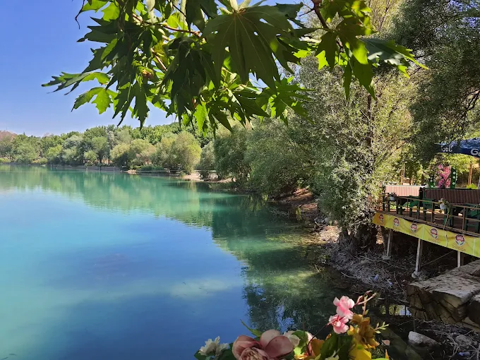 Orduzu Pınarpaşı Mesire Alanı