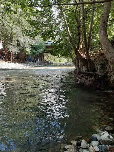 Çınaraltı Piknik Alanı