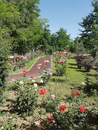 Şht. Er Cumali Koç Parkı