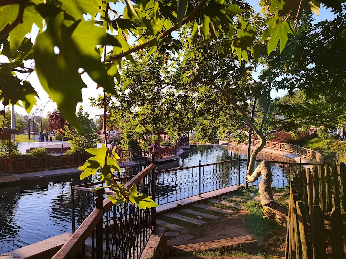 Çınar park