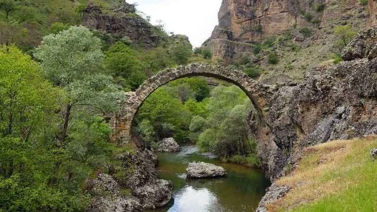 Arapgir Taşköprü fotoğrafı